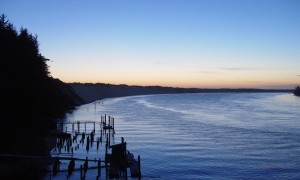 用奶粉一定要含膽堿嗎？