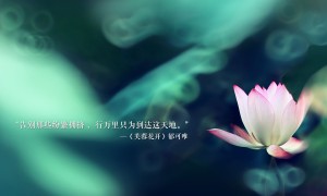 坦克雄師如何獲取更多的英雄？坦克雄師英雄獲取方法匯總