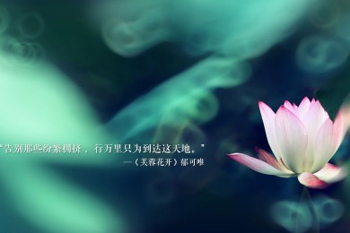 MADELINE_HILL.瑪?shù)铝障柶放芲瑪?shù)铝障柵谱涌诒甠MADELINE_HILL實力檔次排名